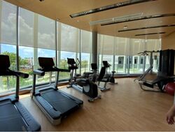 Stars Of Kovan (D19), Apartment #460270711